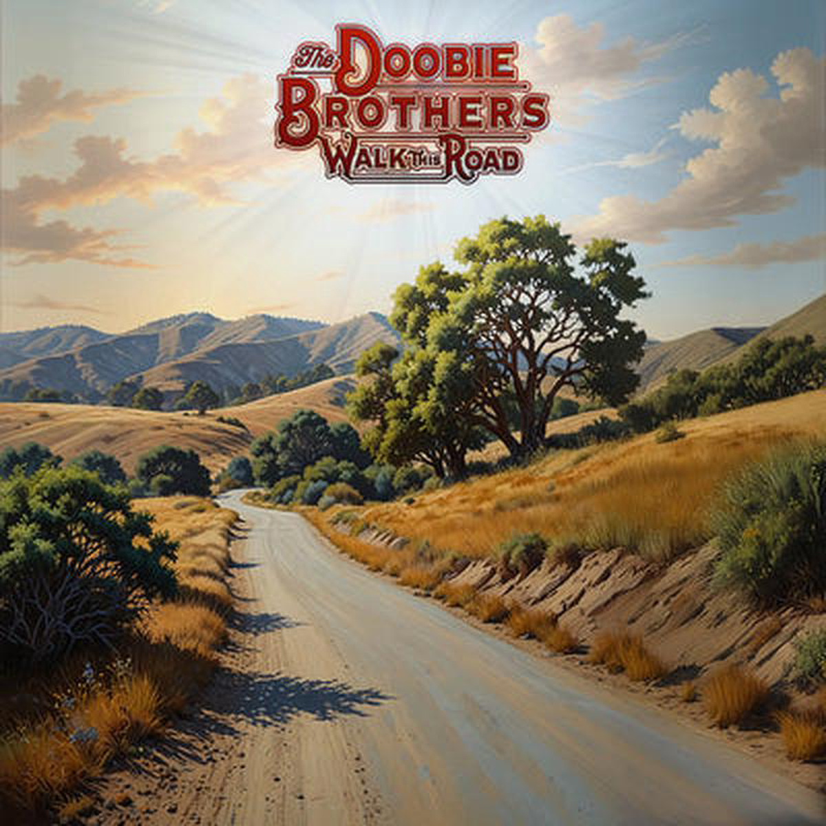 Walk This Road 8211 The Doobie Brothers VINYL