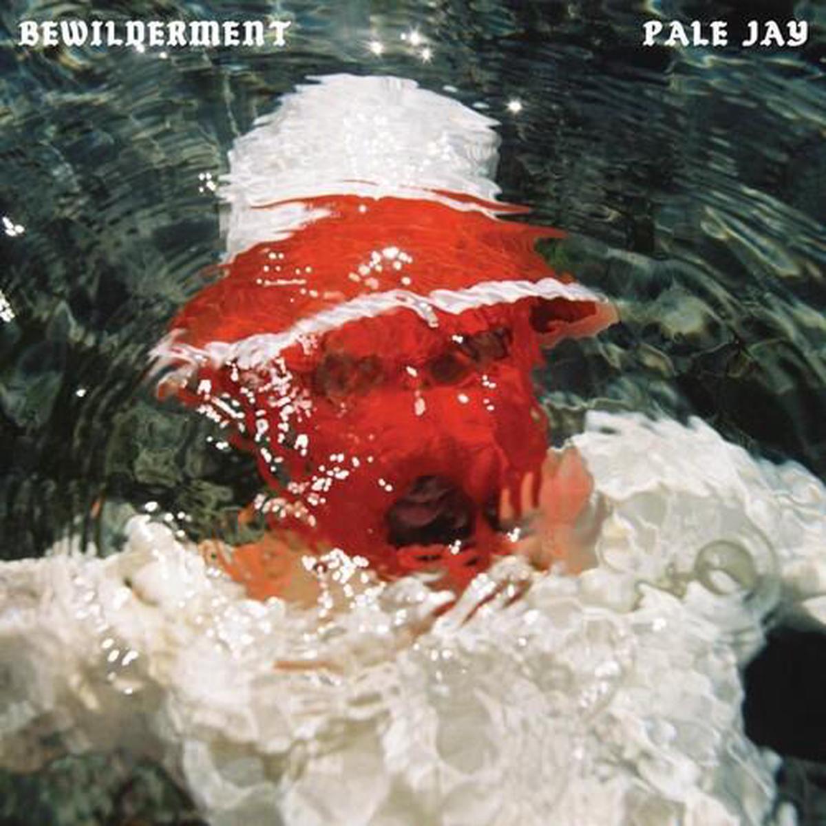 Bewilderment – Vinyl LP
