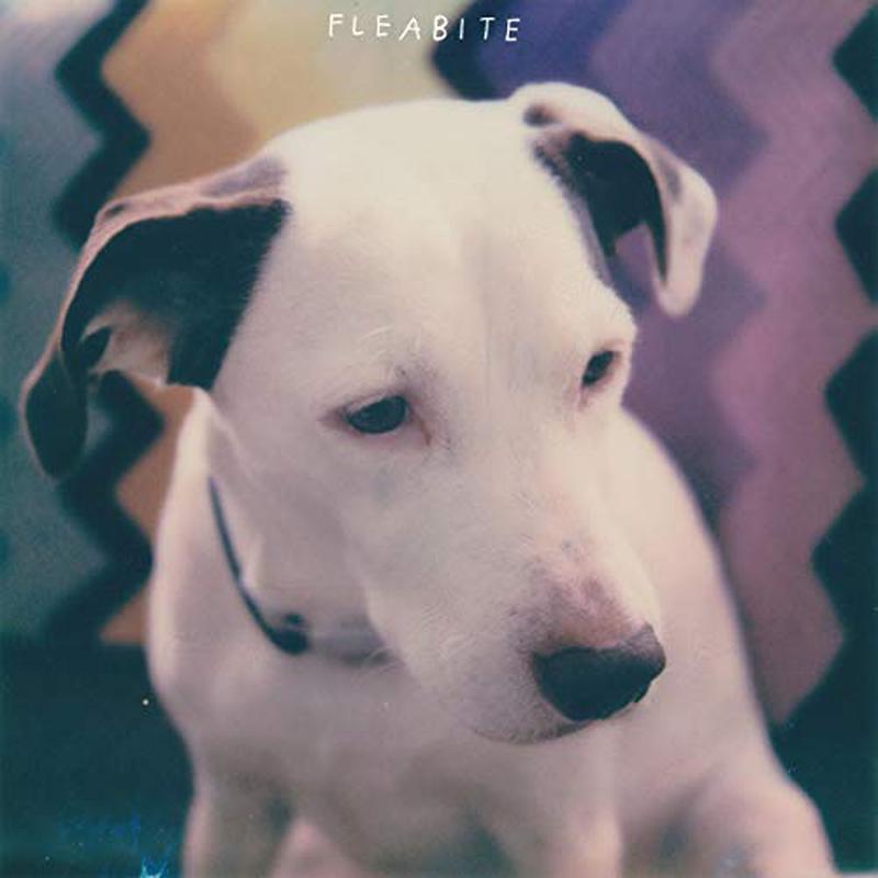 Fleabite – NVM [VINYL]