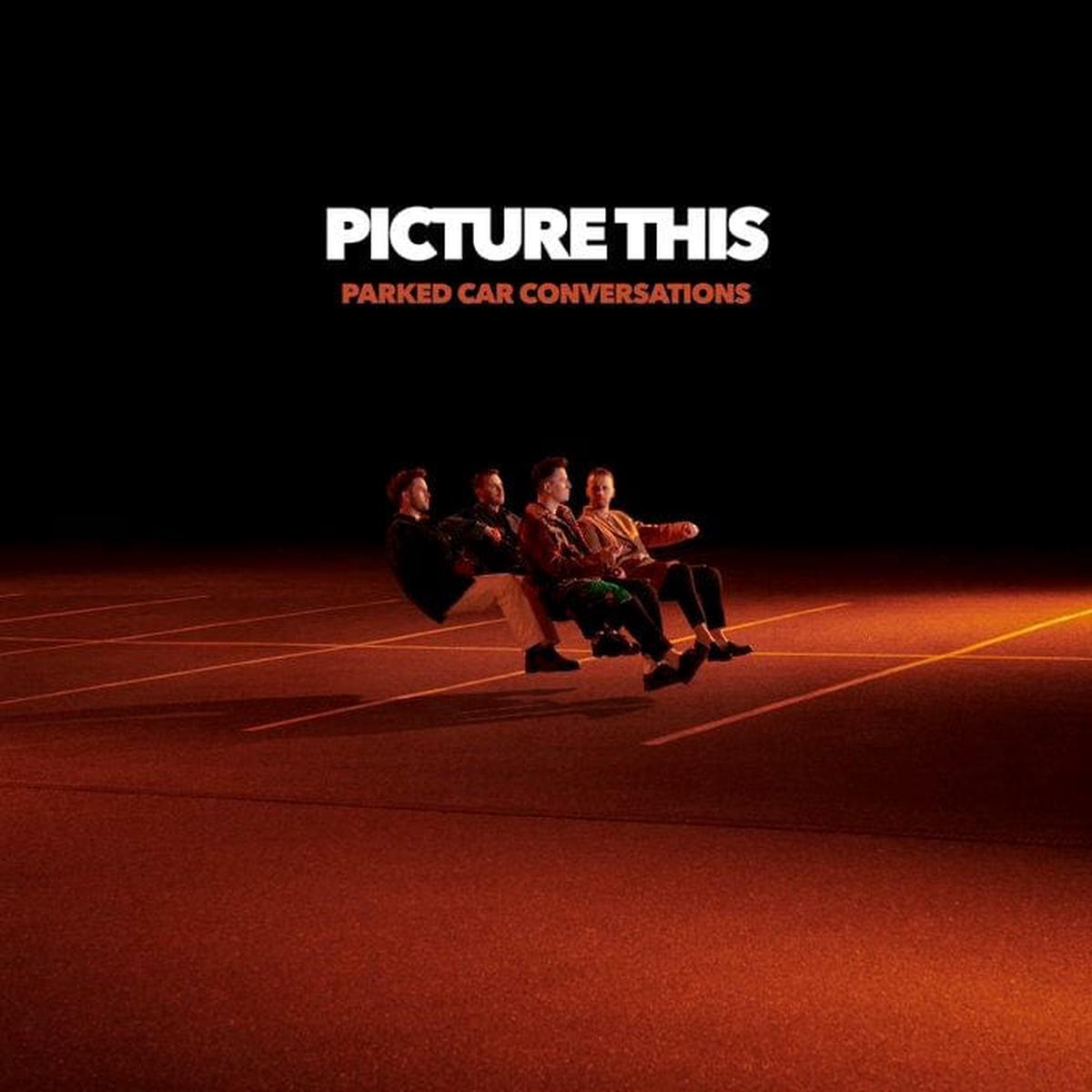 Parked Car Conversations 8211 Picture This VINYL
