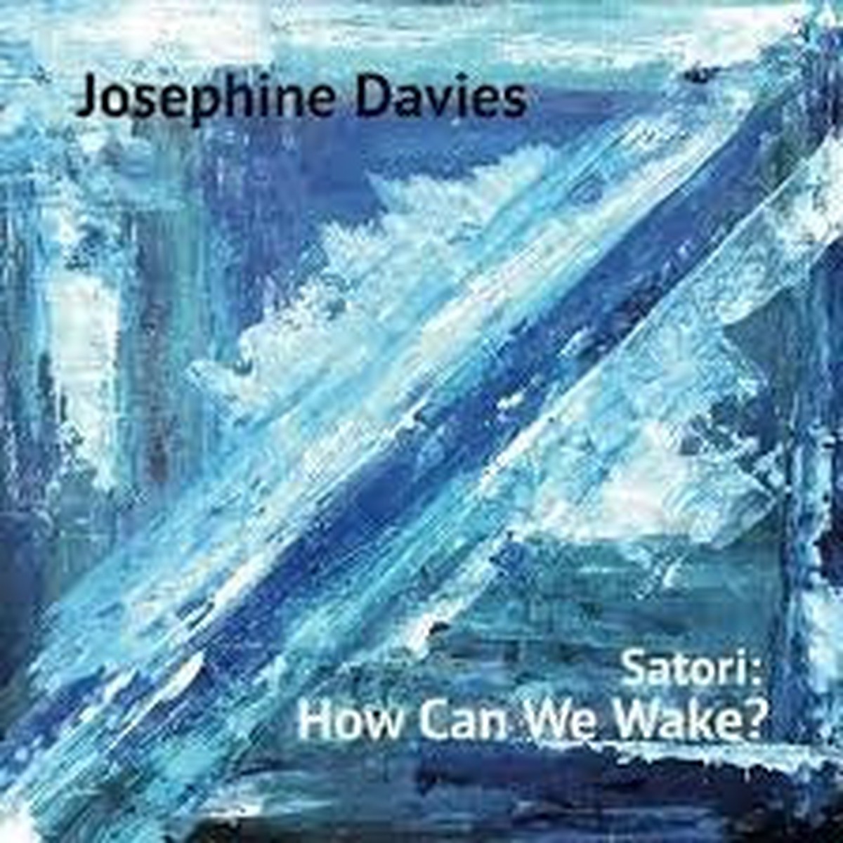 DAVIES JOSEPHINE-SATORI: HOW CAN WE WAKE? LP *NEW* was $55.99 now…