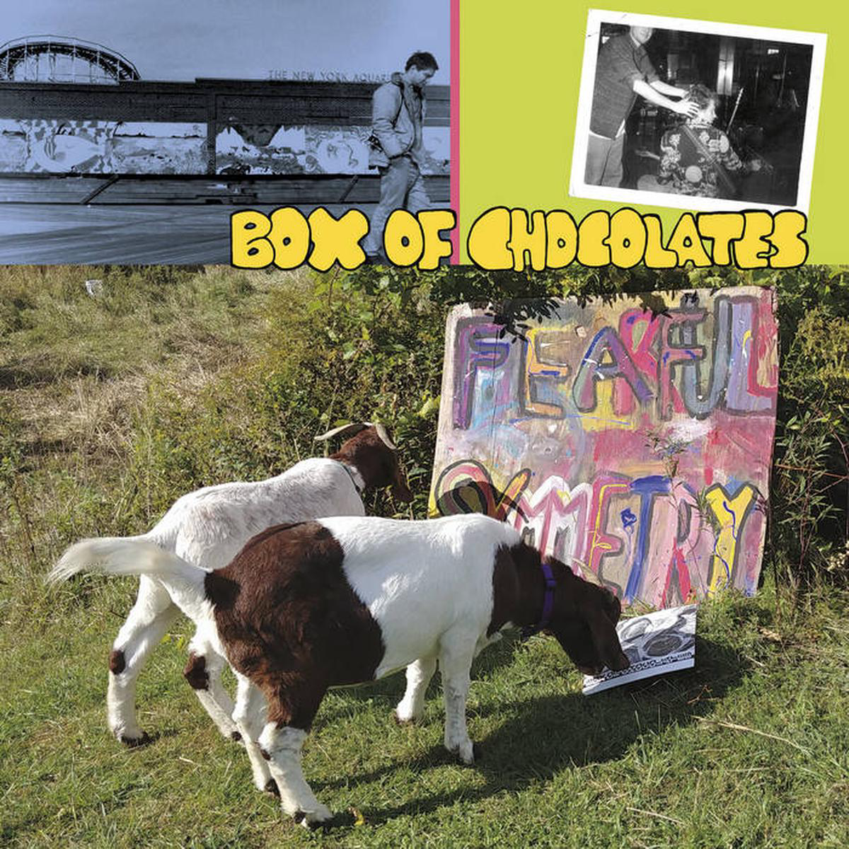 Box of Chocolates 8211 Fearful Symmetry LP