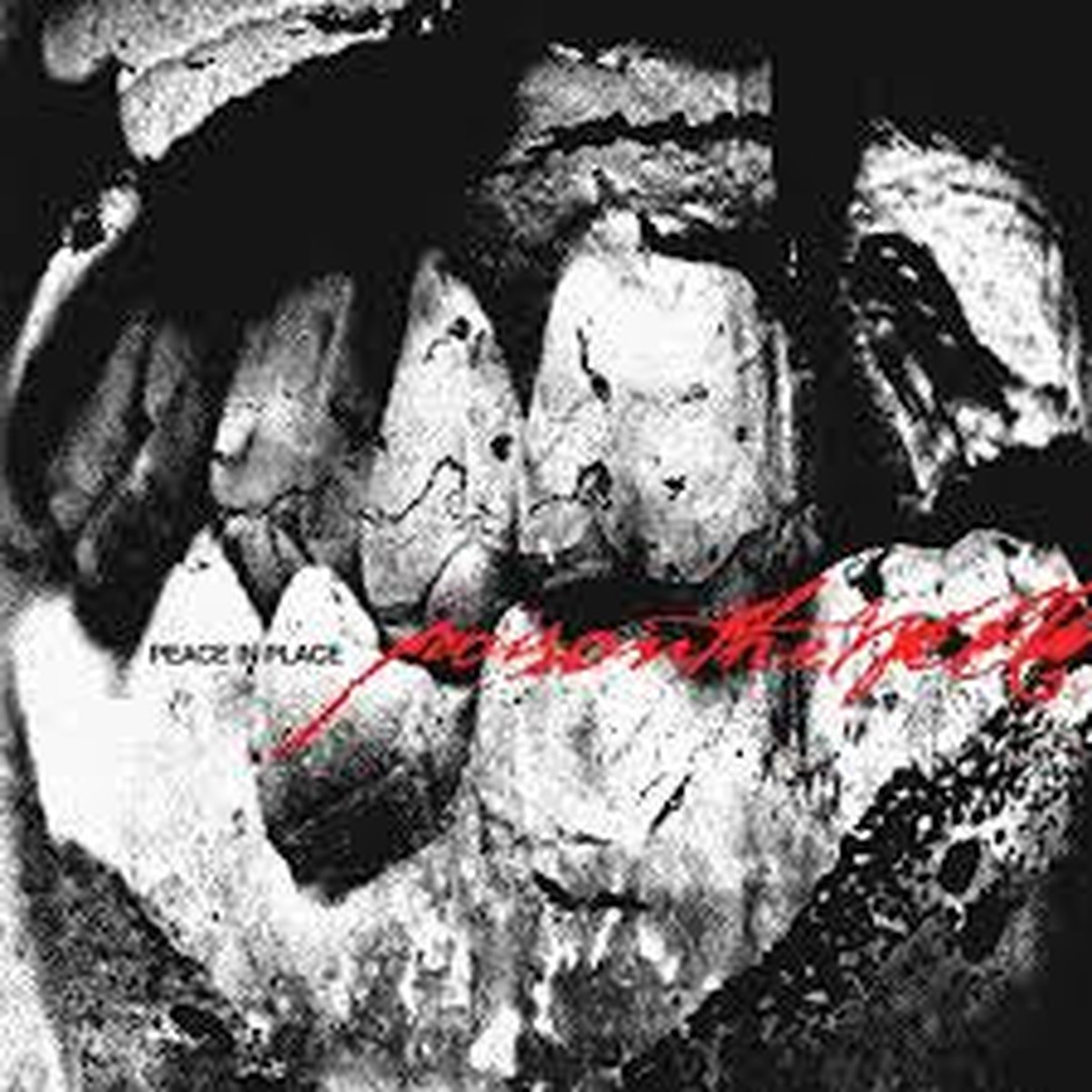 POISON THE WELL-PEACE IN PLACE CLEAR VINYL LP *NEW*