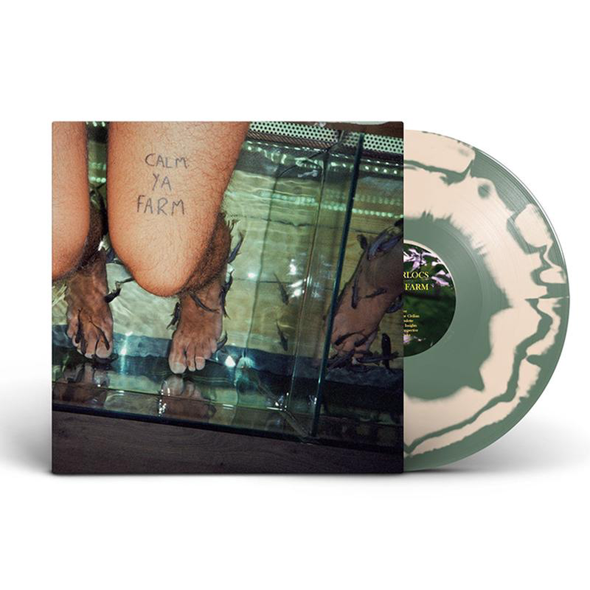 THE MURLOCS 8211 Calm Ya Farm (Bible Basher Edition) 8211 LP 8211 Colour In Colour Vinyl