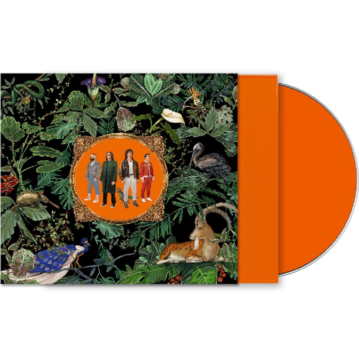 Don Broco Amazing Things Vinyl LP Orange Marble Colour UK Exclusive 2022 8211 Default Title