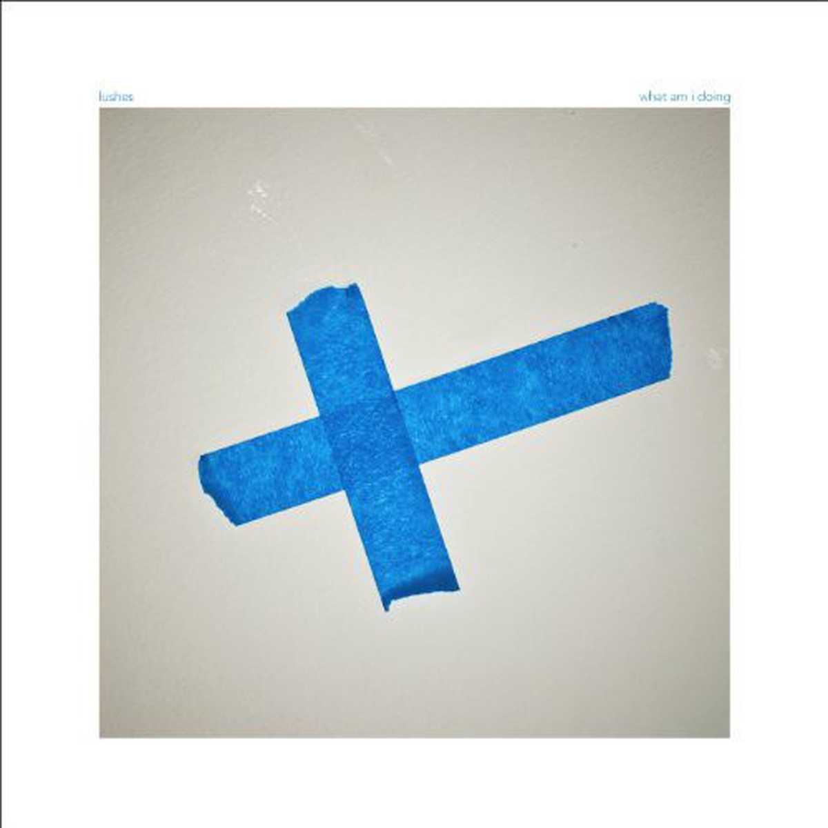 Lushes What Am I Doing – Record Album – Vinyl LP