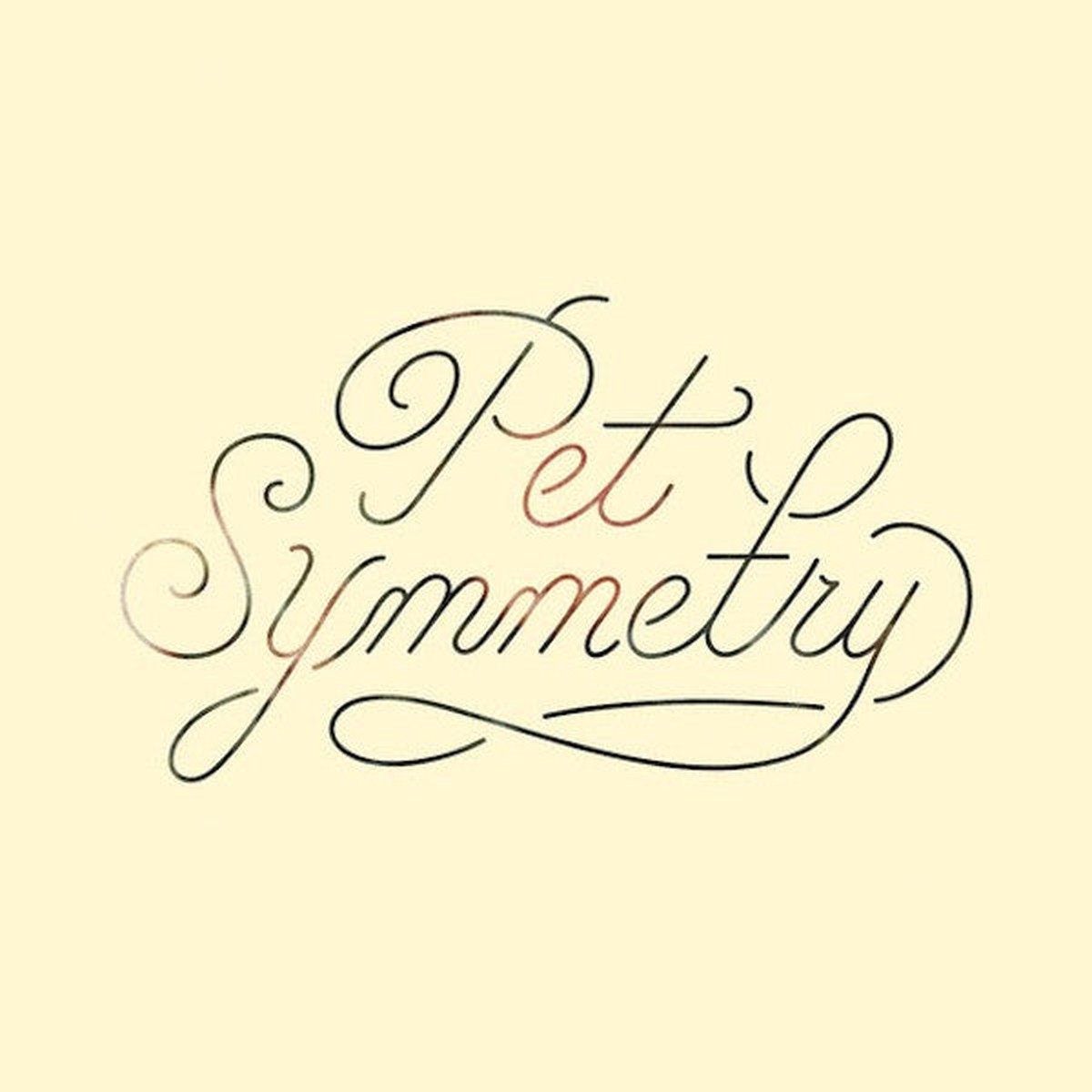 Pet Symmetry – Vision [Vinyl] [Second Hand]