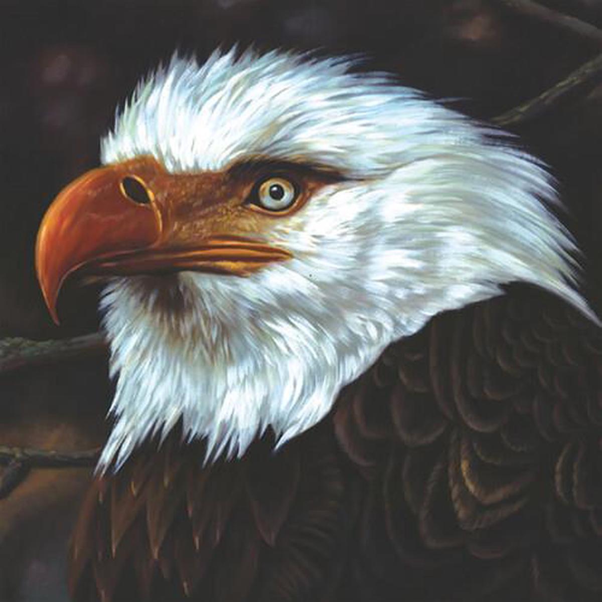 The Hawk Is Howling – Vinyl LP