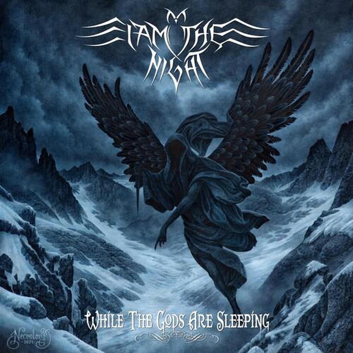 While The Gods Are Asleep – Vinyl LP