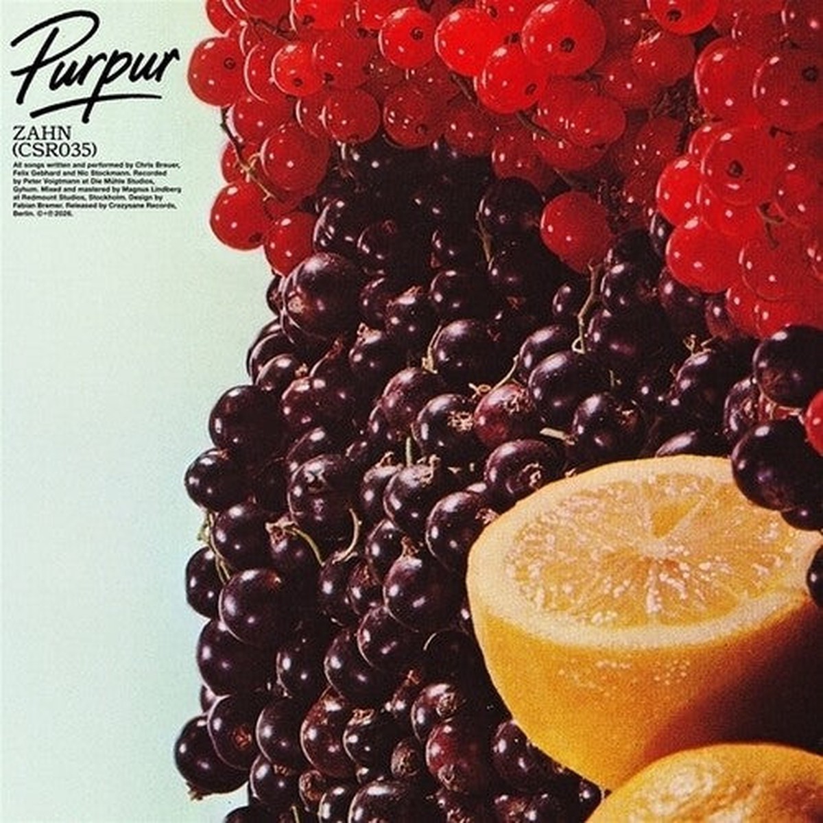 Zahn: Purpur - COMPACT DISCS
