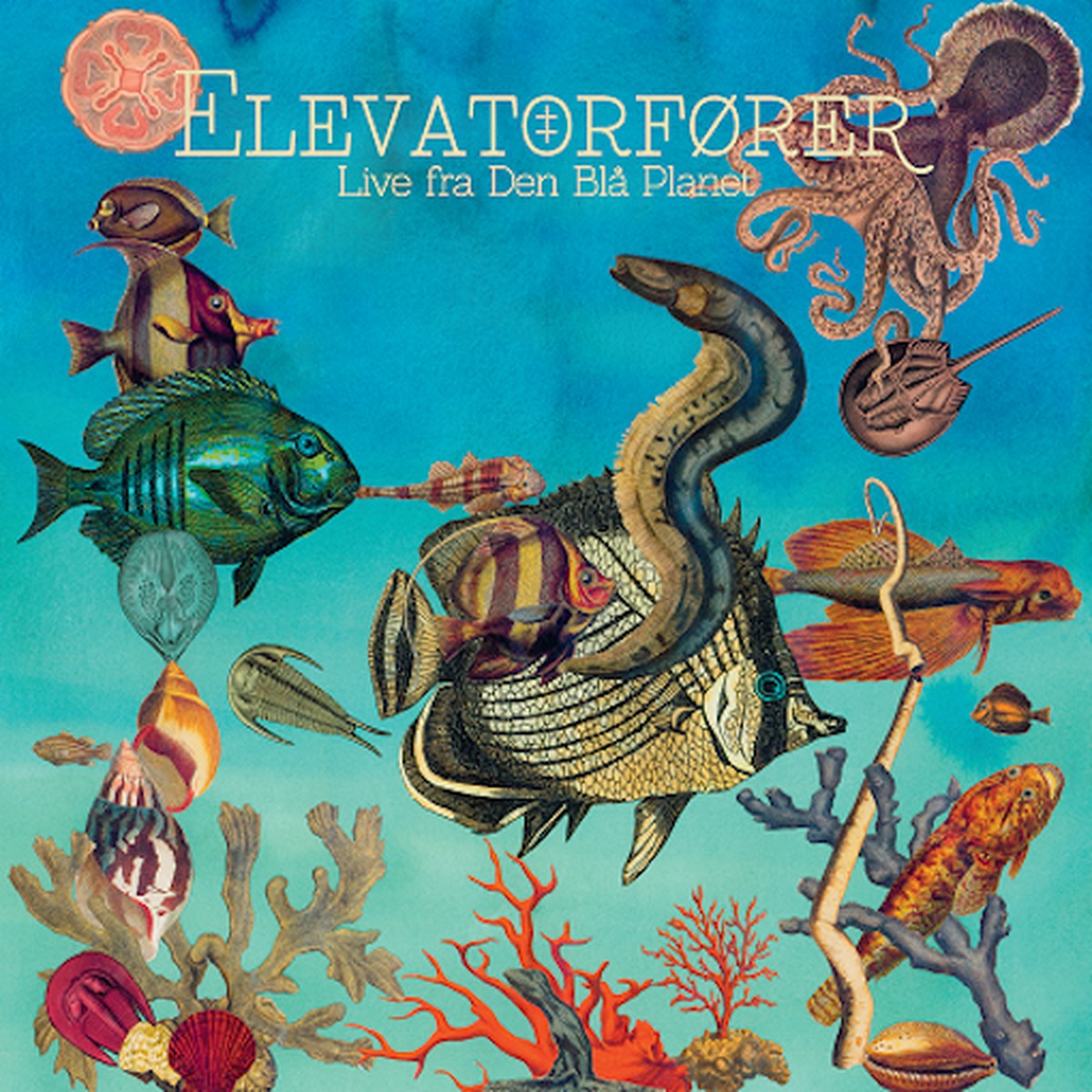 Elevatorfre - Live Fra Den Bl Planet