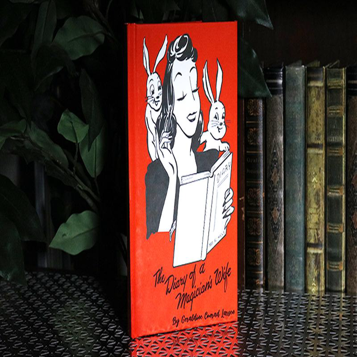 The Diary of a Magician8217s Wife