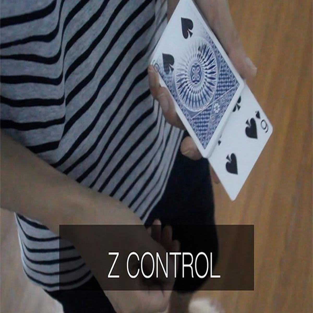 Z 8211 Control by Ziv -VideoDownload